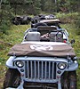 how_many_jeeps.jpg