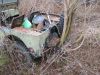 jeep_81.jpg