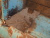 jw12.gif