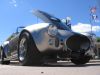 low_shot_cool_cobra.JPG