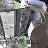 m3831.jpg