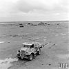 monkey_blitz-wd_large.jpg