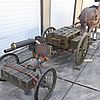 mule4.jpg