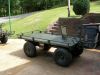 mule_001.jpg