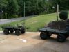 mule_002.jpg