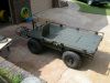 mule_010.jpg