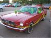 mustang_at_pool_copy.jpg