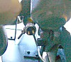 restoration_week_of_06-25-04_005-1.jpg