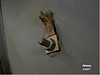 slat_T84_bond_strap_stud_copy.jpg