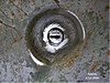 slat_tool_box_lock_button_copy.jpg