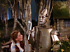 tin_man.png