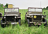 twojeeps.jpg