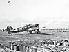 typhoona52.jpg