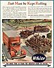 white_trucks_advert.jpg