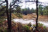 Picture_191.jpg