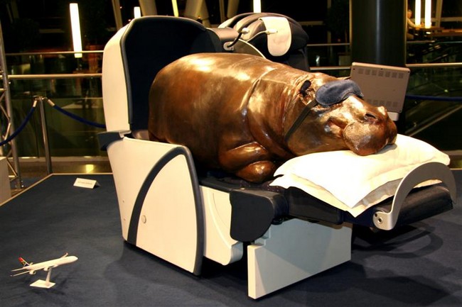Hippo