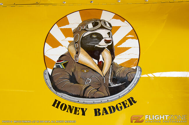 Boeing Stearman ZS-NGD Rand Airport FAGM