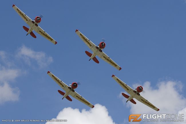 Flying Lions Harvard T6 Bultfontein Airfield FABU
