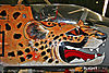 Cheetah_C_20060610_FASK-m_800.jpg