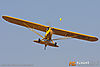 IMG_0014m_800.jpg