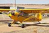 IMG_0050m_800.jpg