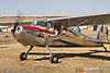 IMG_0087M_800.jpg