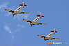 IMG_0206m_800.jpg