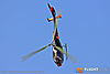 IMG_0213m_800.jpg