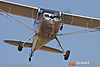 IMG_0215m_800.jpg