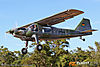 IMG_0230m_800.jpg