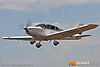 IMG_0273m_800.jpg