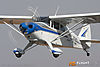 IMG_0308m_800.jpg