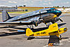 IMG_0314m_800_copy1.jpg