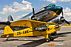 IMG_0350m_800_copy.jpg