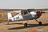 IMG_0374m_800.jpg