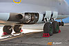 IMG_0380m_800.jpg