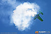 IMG_0426M_800_copy.jpg