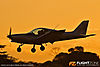IMG_0431m_800.jpg