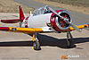 IMG_0435m_800.jpg