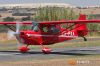 IMG_0457m_800_copy.jpg