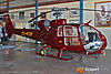 IMG_0510m_8001.jpg