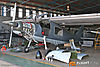 IMG_0526m_8001.jpg