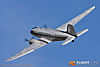 IMG_0558m_800_copy.jpg