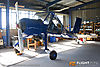 IMG_0650m_8001.jpg