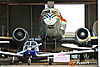 IMG_0655m2_800.jpg
