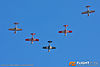 IMG_0670m_800_copy.jpg