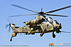 IMG_0677M_8001.jpg