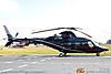IMG_0698m_800.jpg