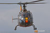 IMG_0709m_800.jpg