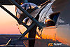 IMG_0813m_800_copy.jpg